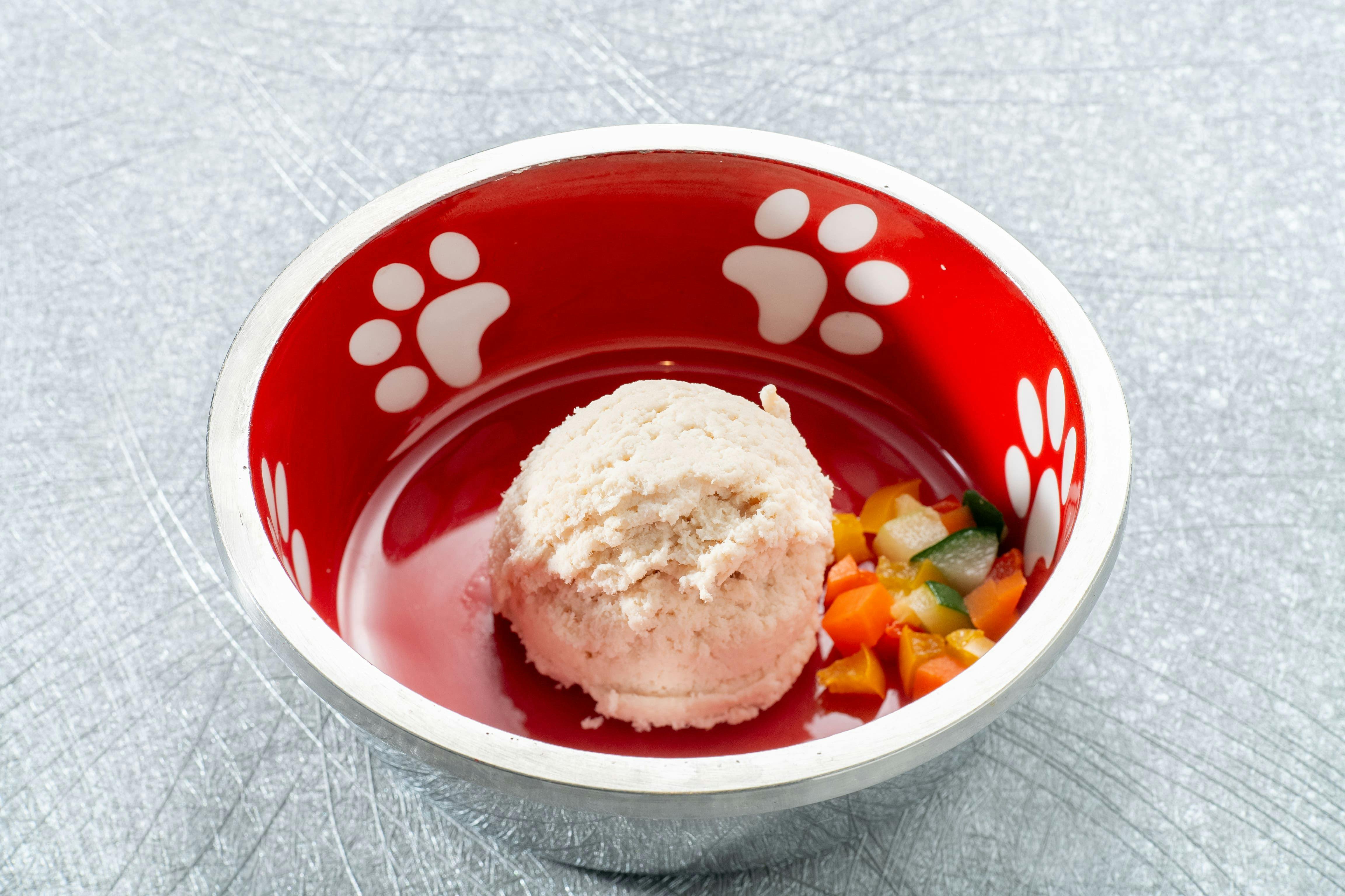 Coredor Yugawara Dog & Resort