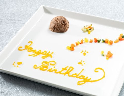 愛犬用お誕生日プレート