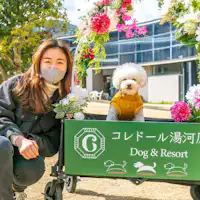 애견용 포토 스탠드