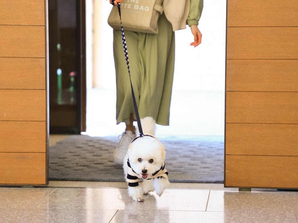 コレドール湯河原　Dog＆Resort