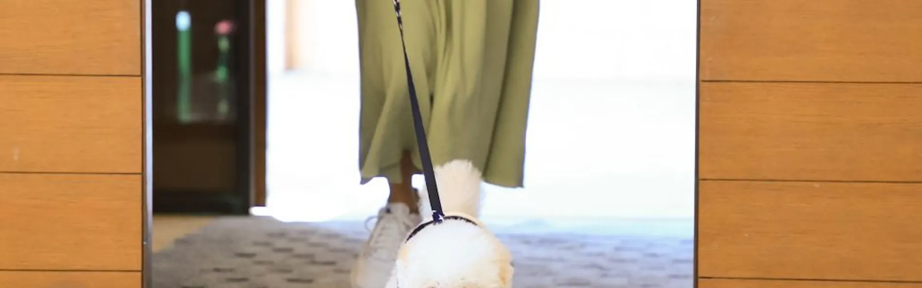 コレドール湯河原 Dog&Resort