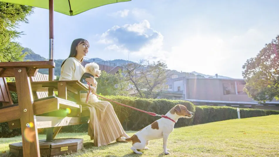 Coredor Yugawara Dog & Resort