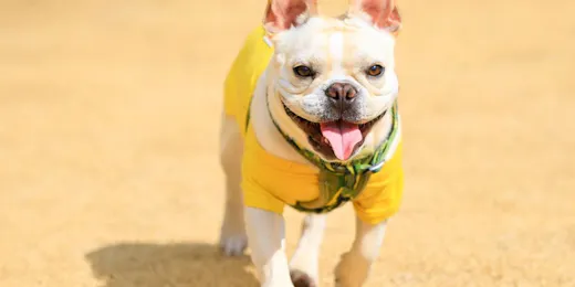 コレドール湯河原 Dog&Resort