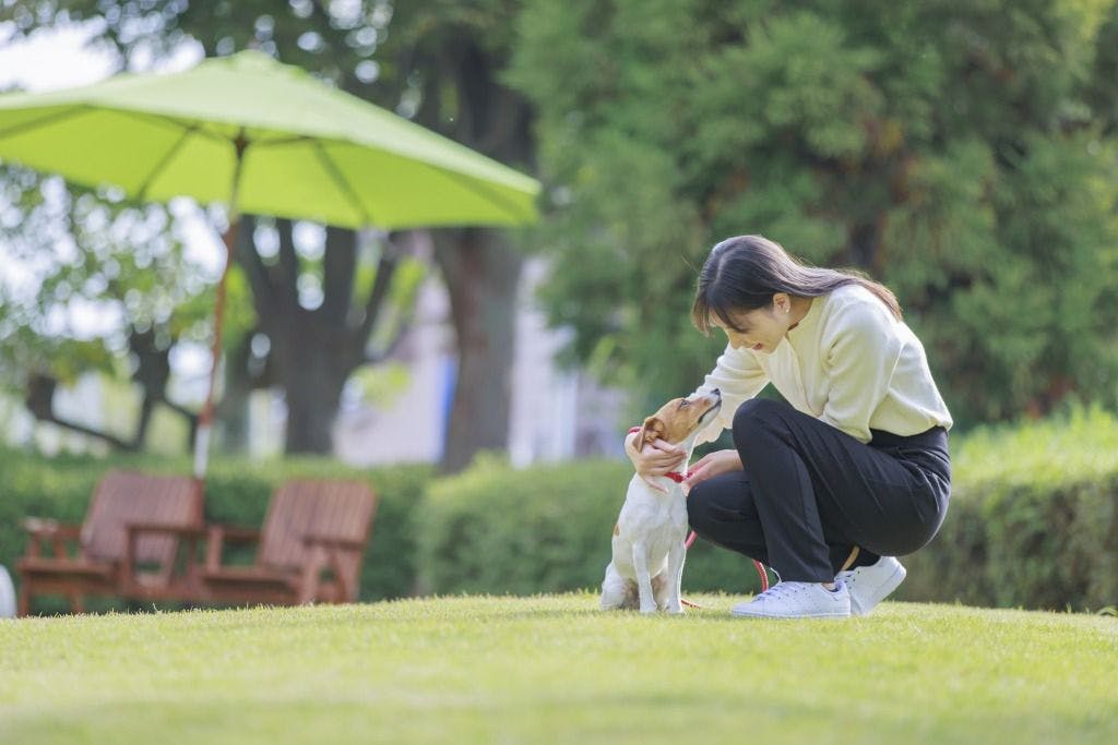コレドール湯河原　Dog＆Resort