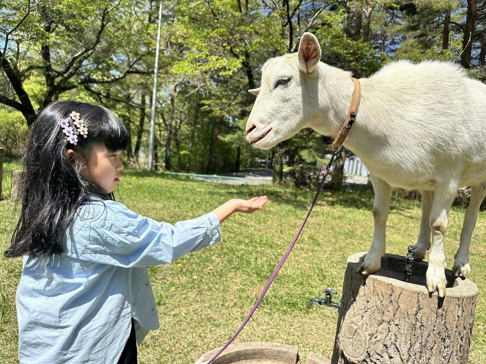 八ヶ岳ホテル風か