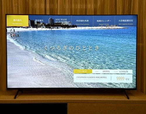 テレビ