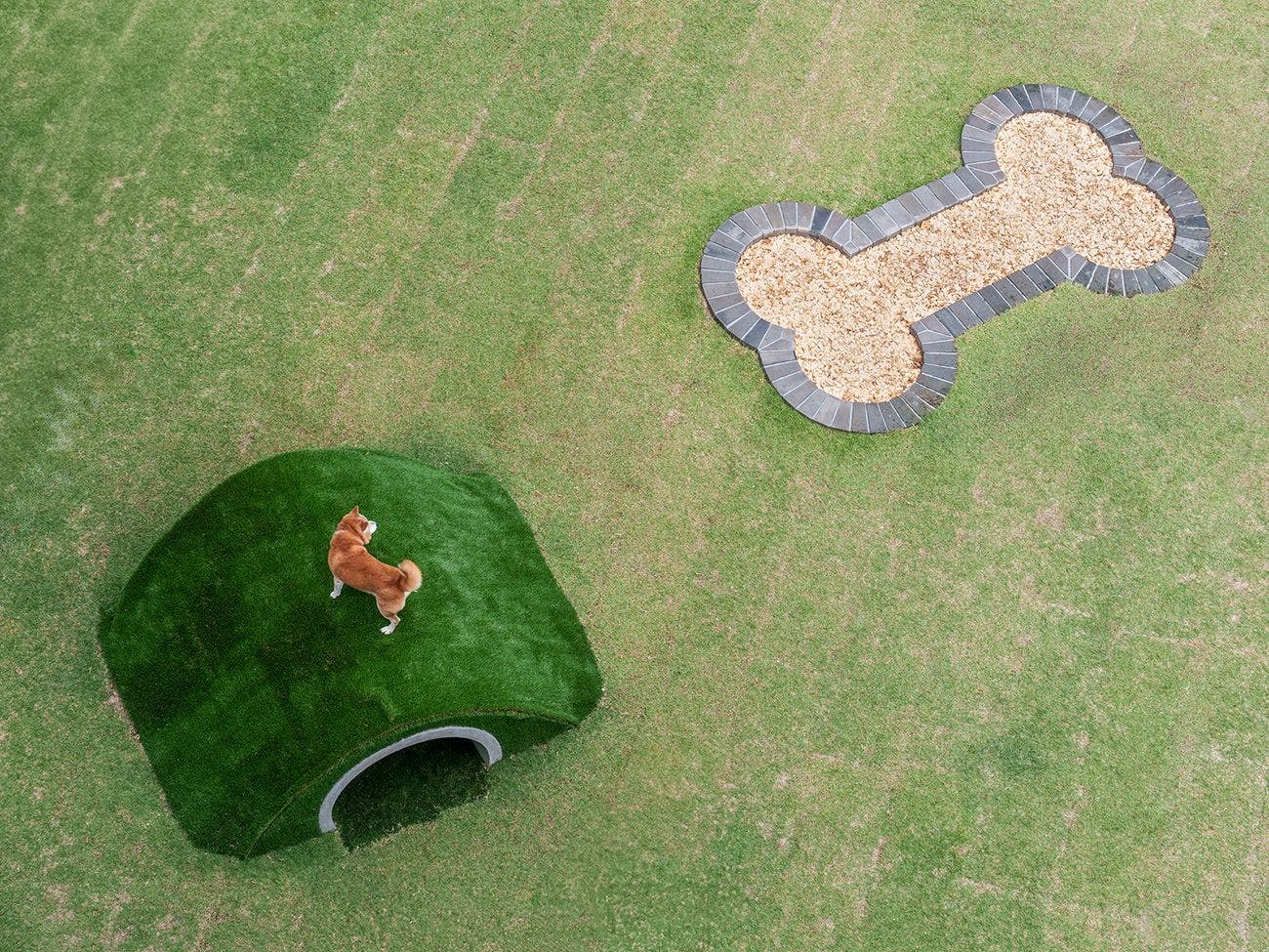 DOG HOTEL SHIRAHAMA/ドッグホテル白浜