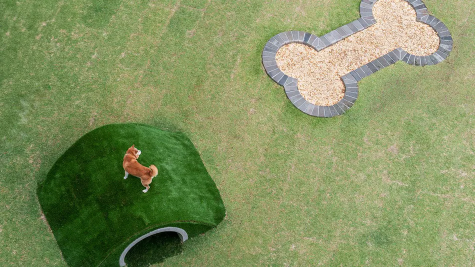 Dog Hotel Shirahama