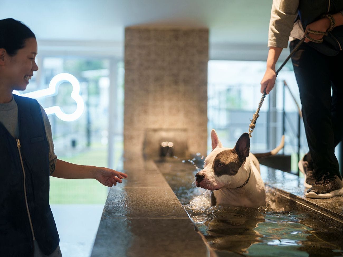 DOG HOTEL SHIRAHAMA/ドッグホテル白浜