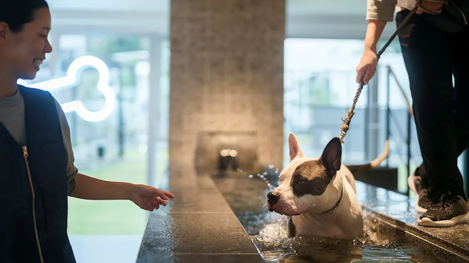 Dog Hotel Shirahama