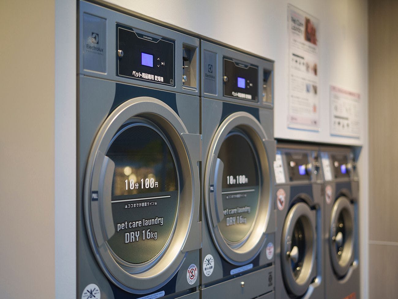 เครื่องล้างสุนัข