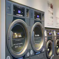 เครื่องล้างสุนัข