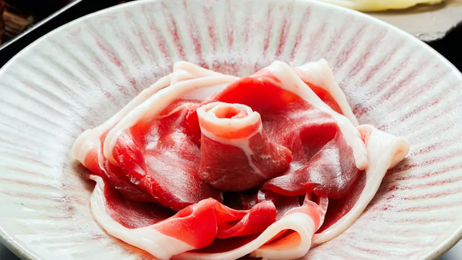 Tamba Sasayama Kinmata