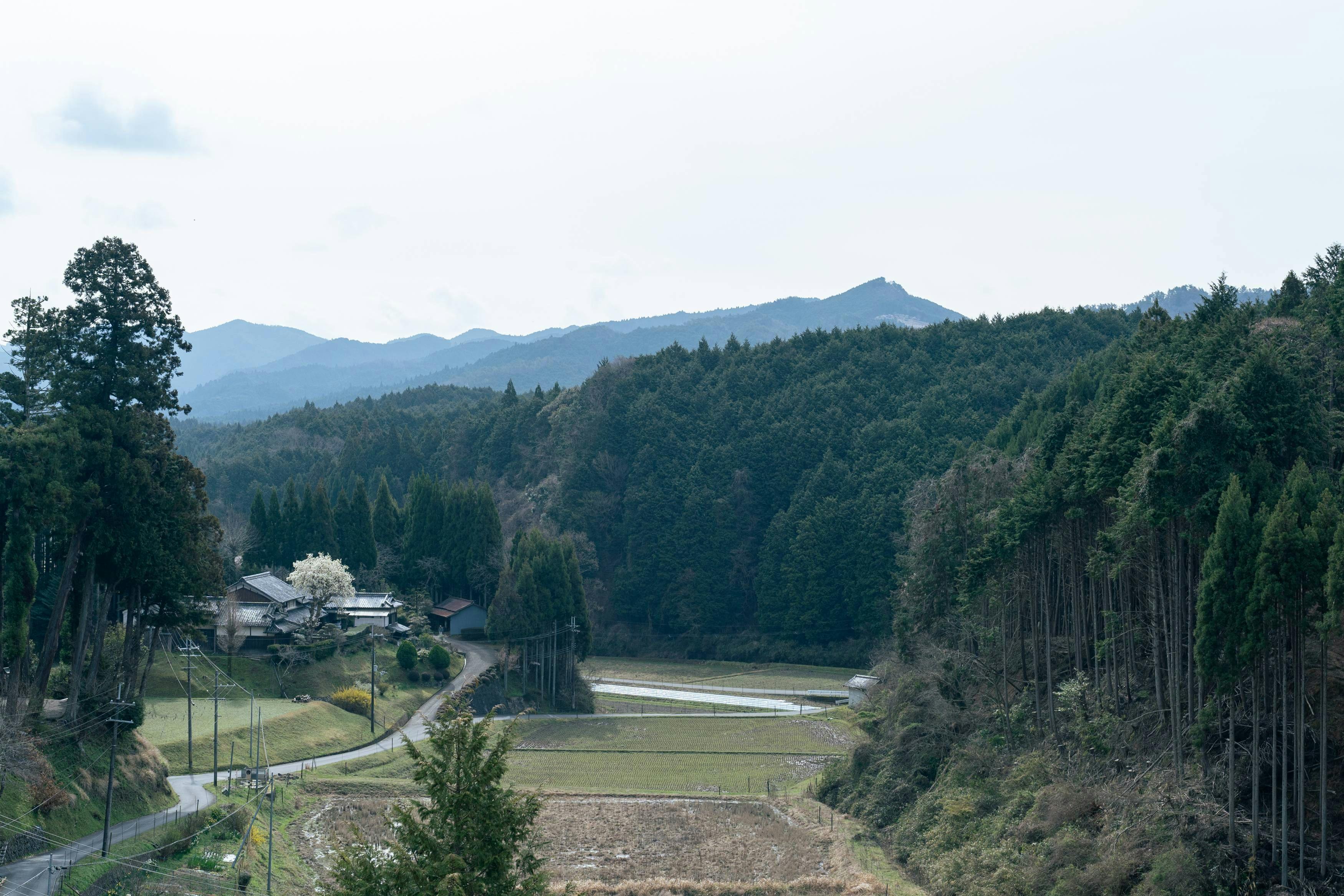 うだ薬湯の宿 やたきや