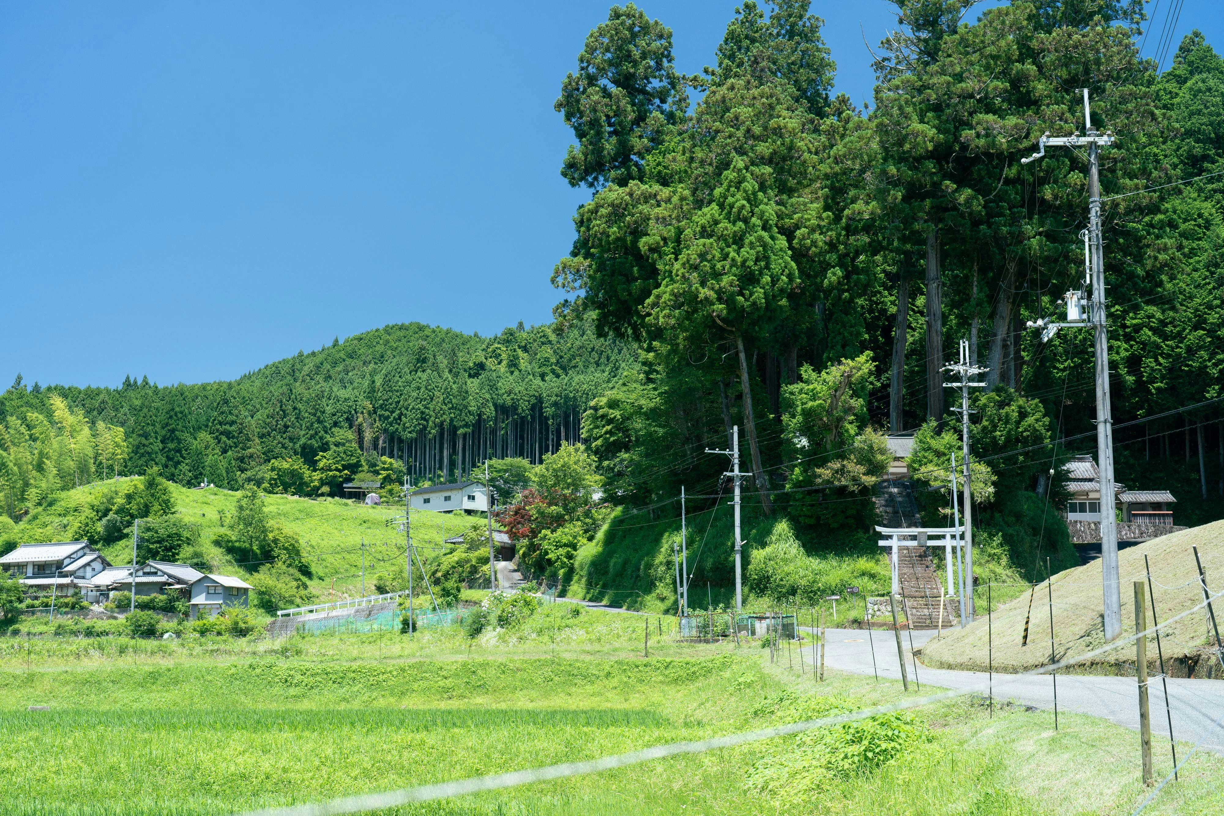 うだ薬湯の宿 やたきや