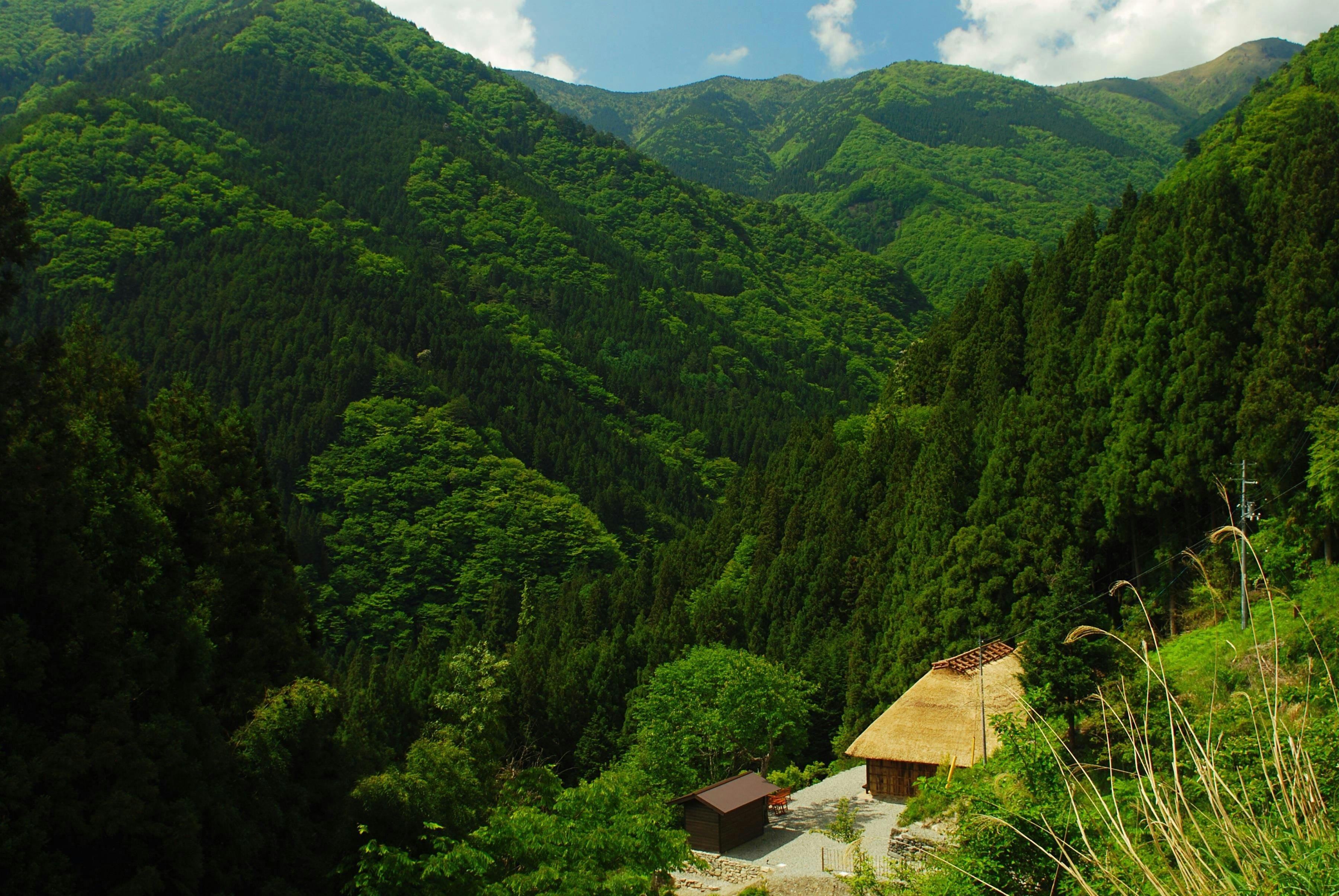 静けさの中で過ごす贅沢。日本三大秘境・祖谷で古き良き日本に触れる