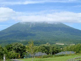 ニセコセントラル　山自然