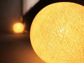 ホスタ二条　葵