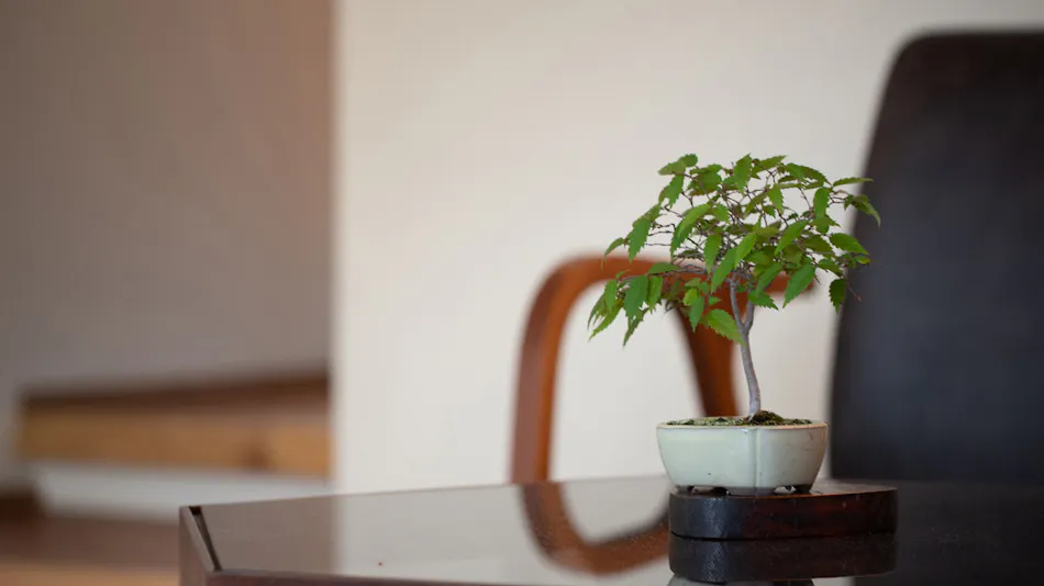 Uchiko no Yado Ori