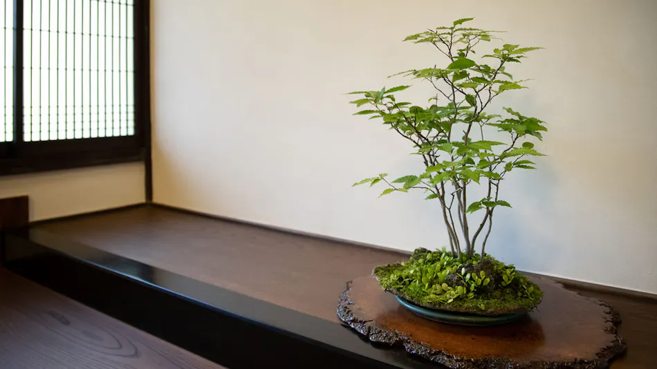 Uchiko no Yado Ori