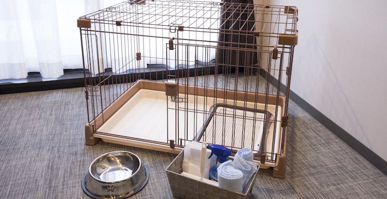 Mスイート 和室フラット ペットok 最大4名様 夕食 朝食付き 海岸まで徒歩4分 九十九里浜近くのカジュアルリゾートプラン Casual Resort Coff Ichinomiya 一休 Comバケーションレンタル