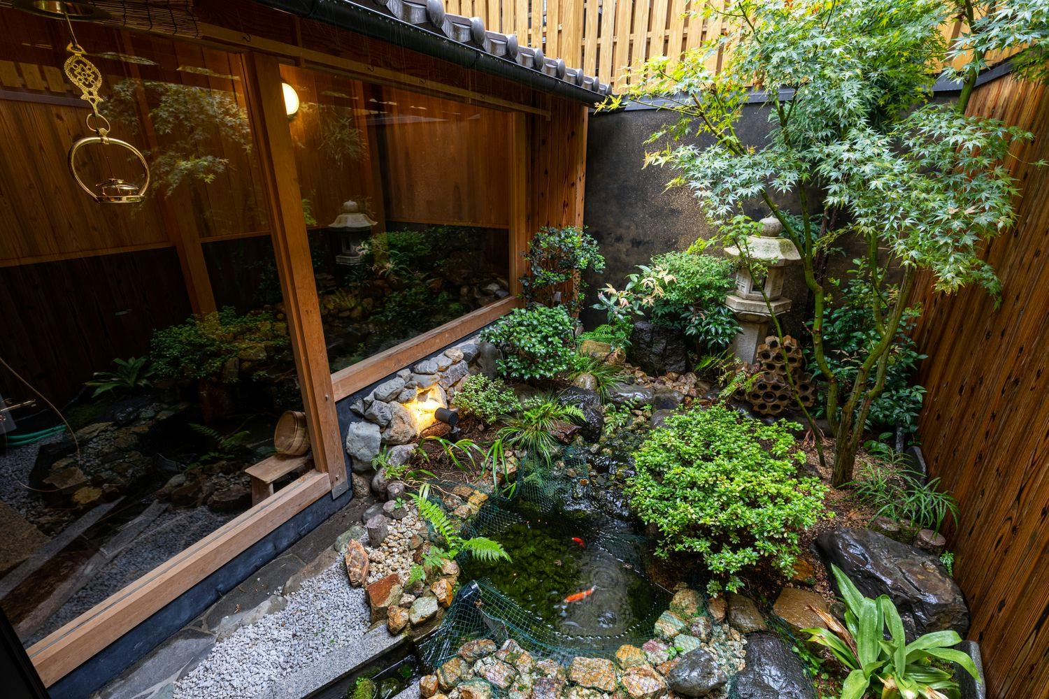 京恋　黄金屋