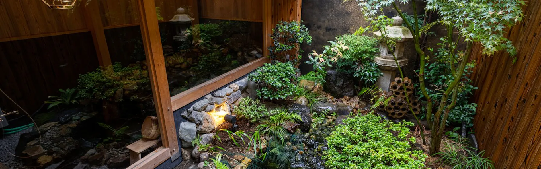 京恋 黄金屋