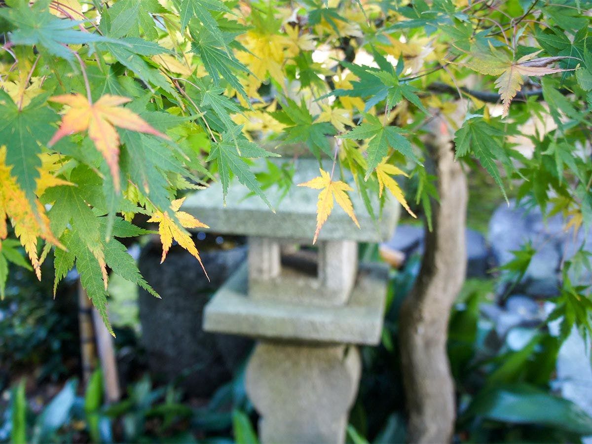 和美再美　石動　柏屋