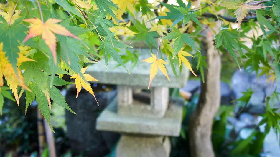 Wabisabi Isurugi Kashiwaya