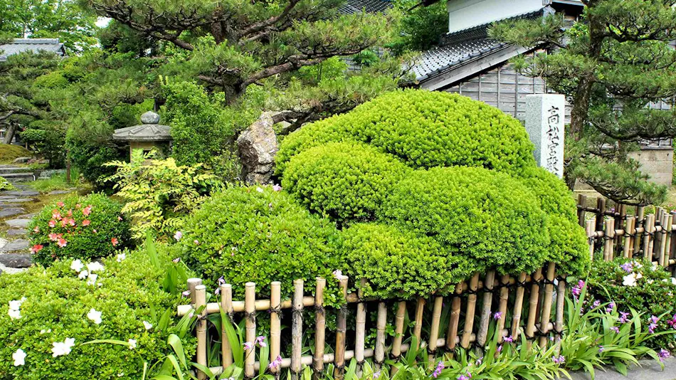 Wabisabi Isurugi Kashiwaya