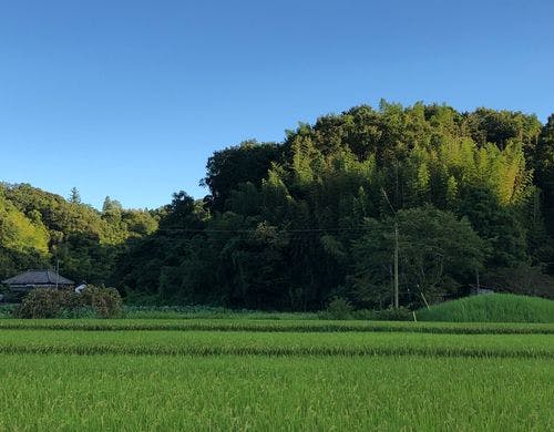 里山の奥左手に見える古民家。