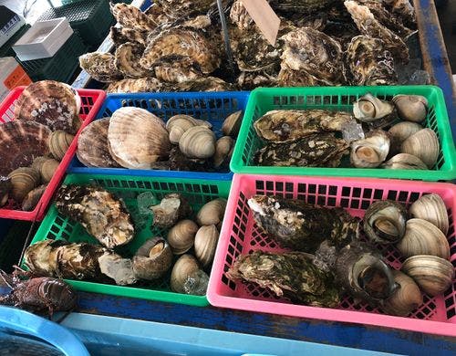 大原漁港の朝市、毎週日曜の午前中に開催！