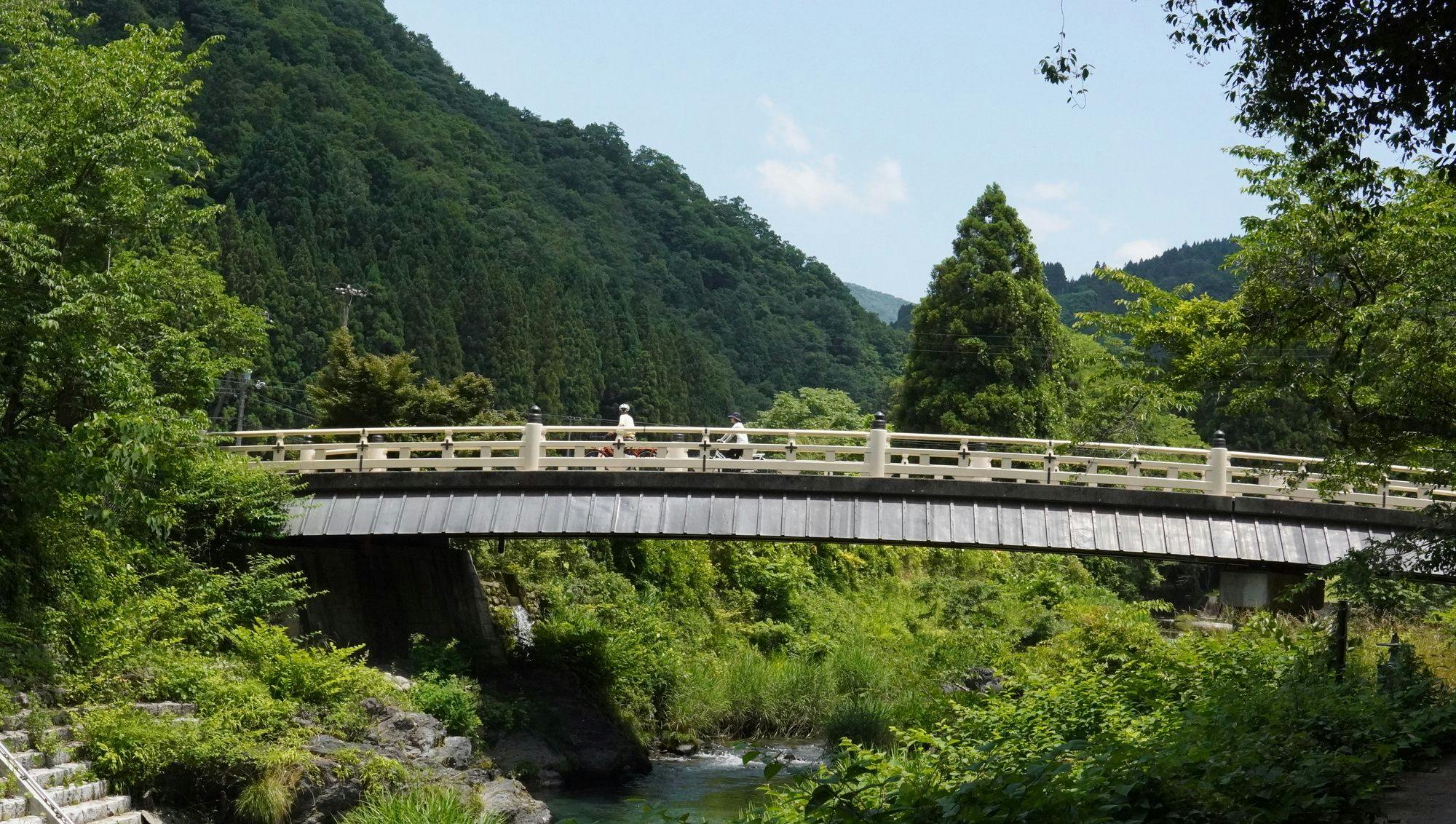オプション「自転車さんぽ」
