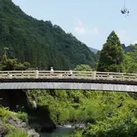 オプション「自転車さんぽ」