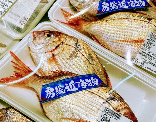 MORIKAZEバケーションホーム&リトリート