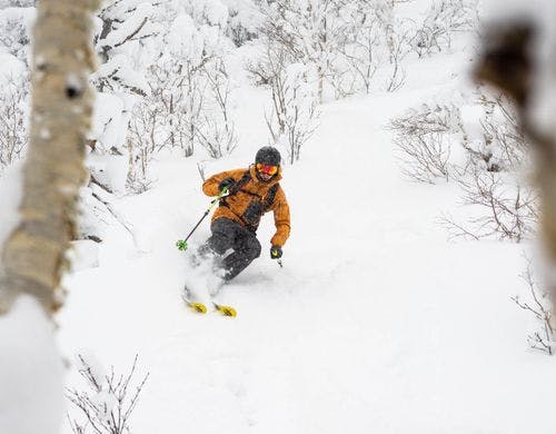 ski