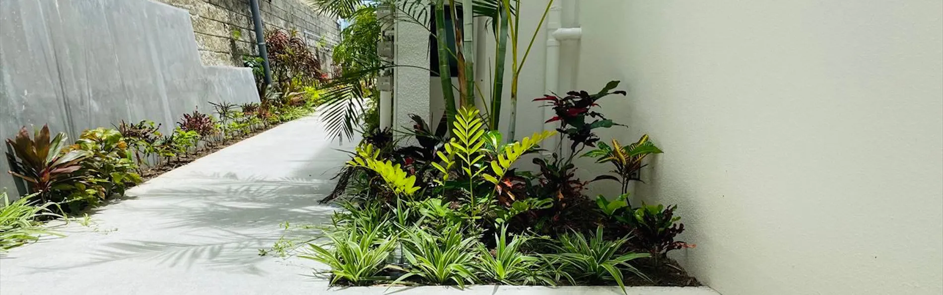 CONDOMINIUM 紅-BIN-
