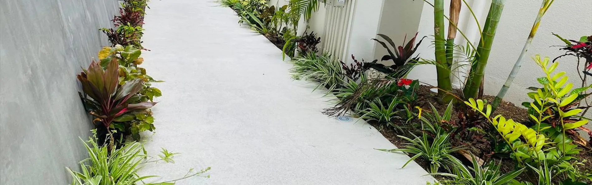 CONDOMINIUM 紅-BIN-