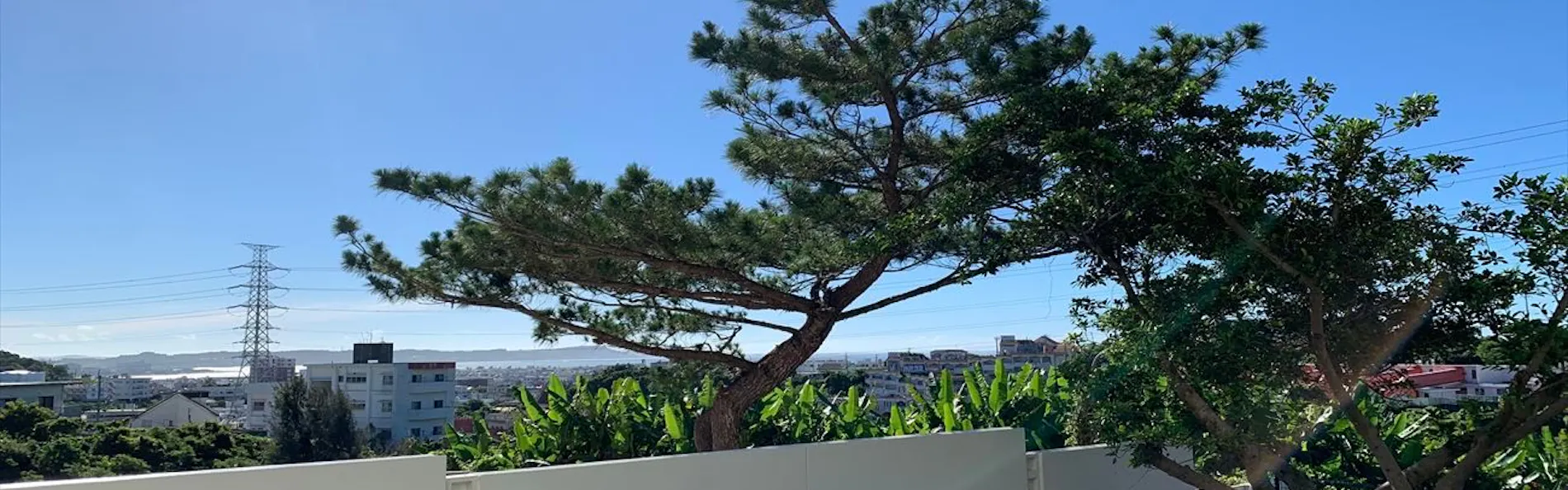 CONDOMINIUM 紅-BIN-