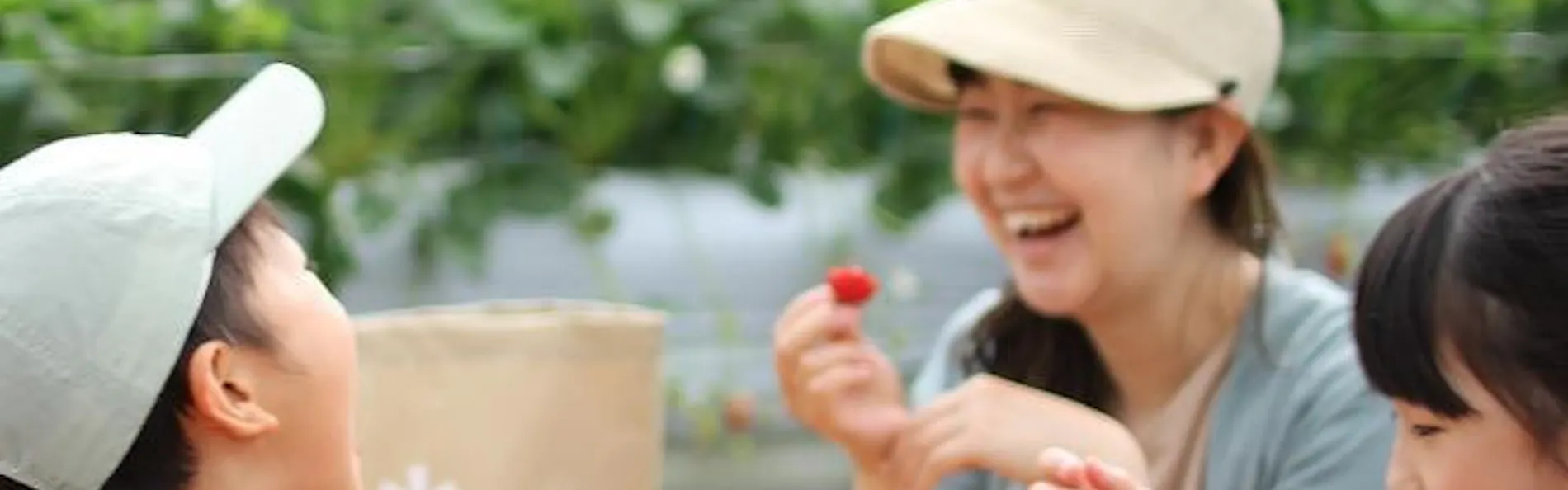 小松島リゾート snowpeak glamping tokushima komatsushima