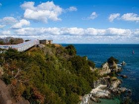 小松島リゾート snowpeak glamping tokushima komatsushima&nbsp;施設全景