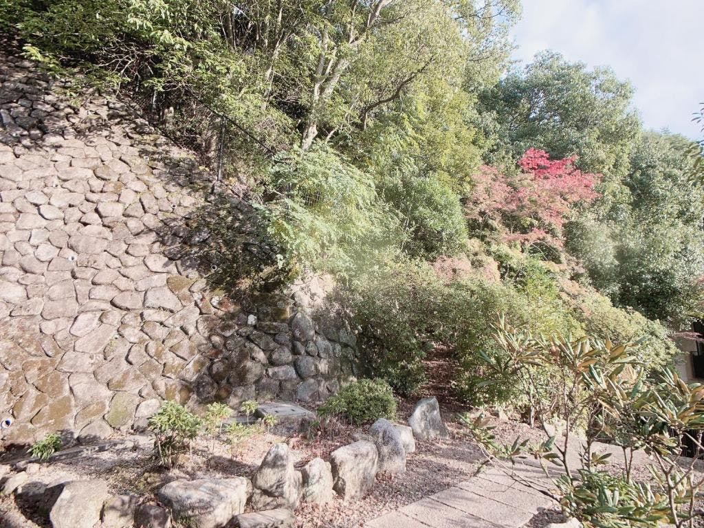 KIYOMORI