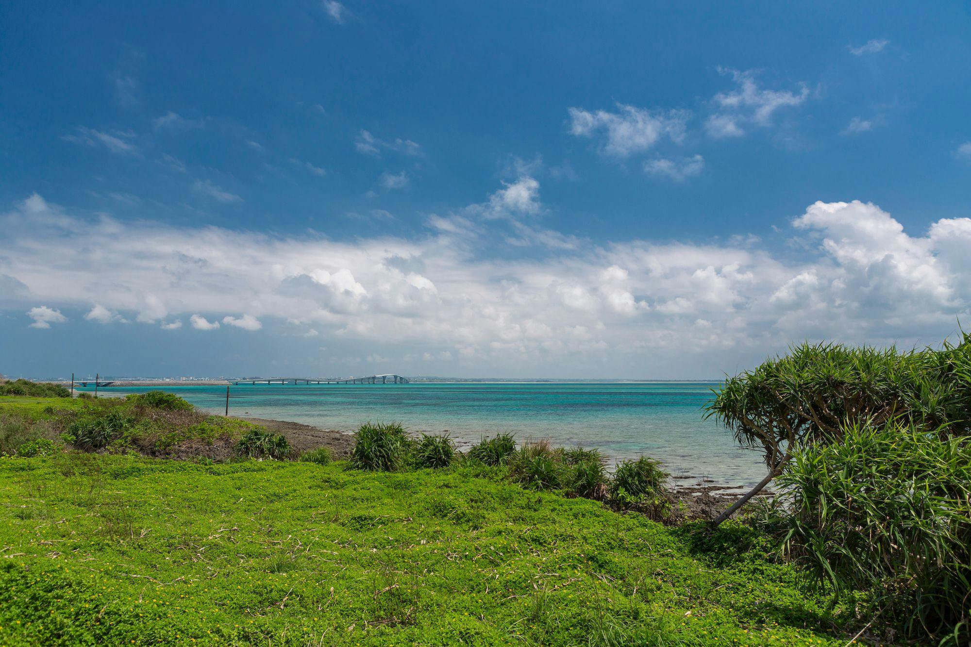 Ronsard Resort IRABU