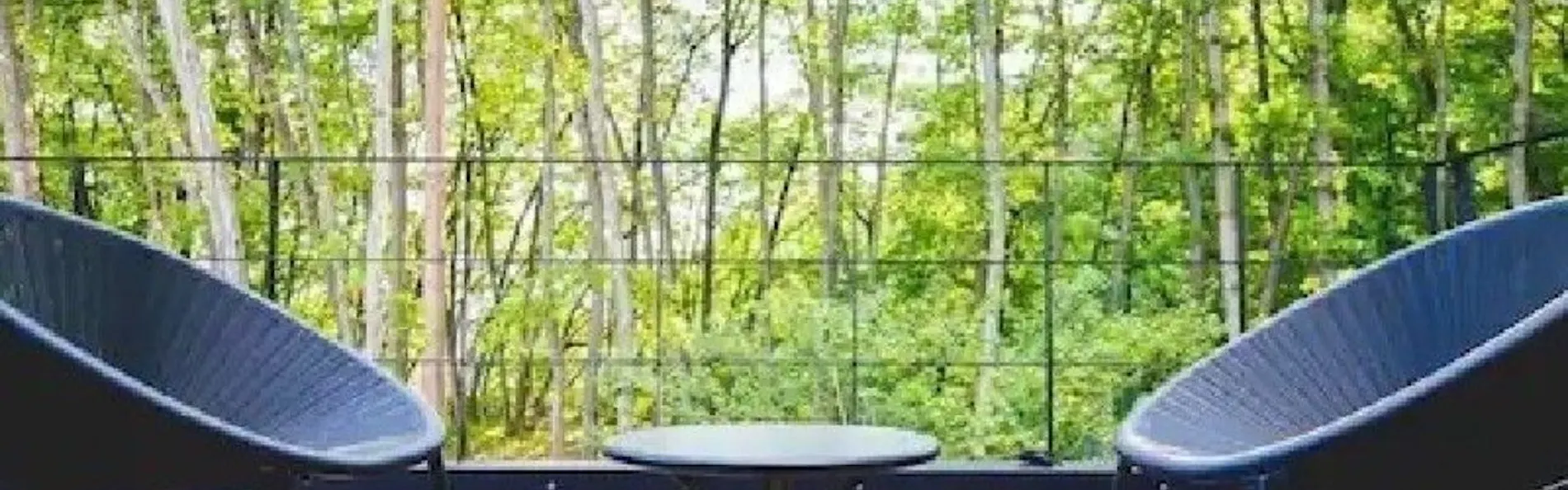 SAUNA FOREST CABIN 軽井沢 御代田