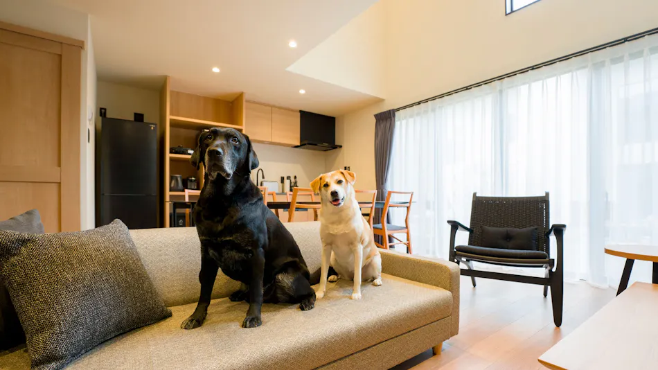 Rakuten STAY VILLA Kamogawa