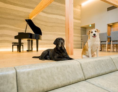 【A棟】キッチン