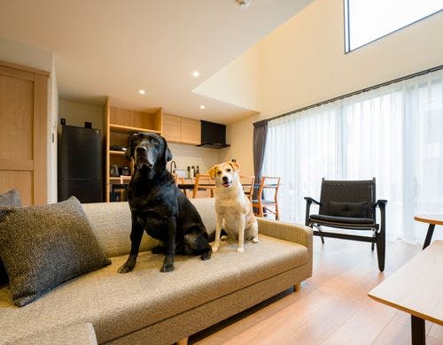 【ワンちゃんとお出かけ/D棟】