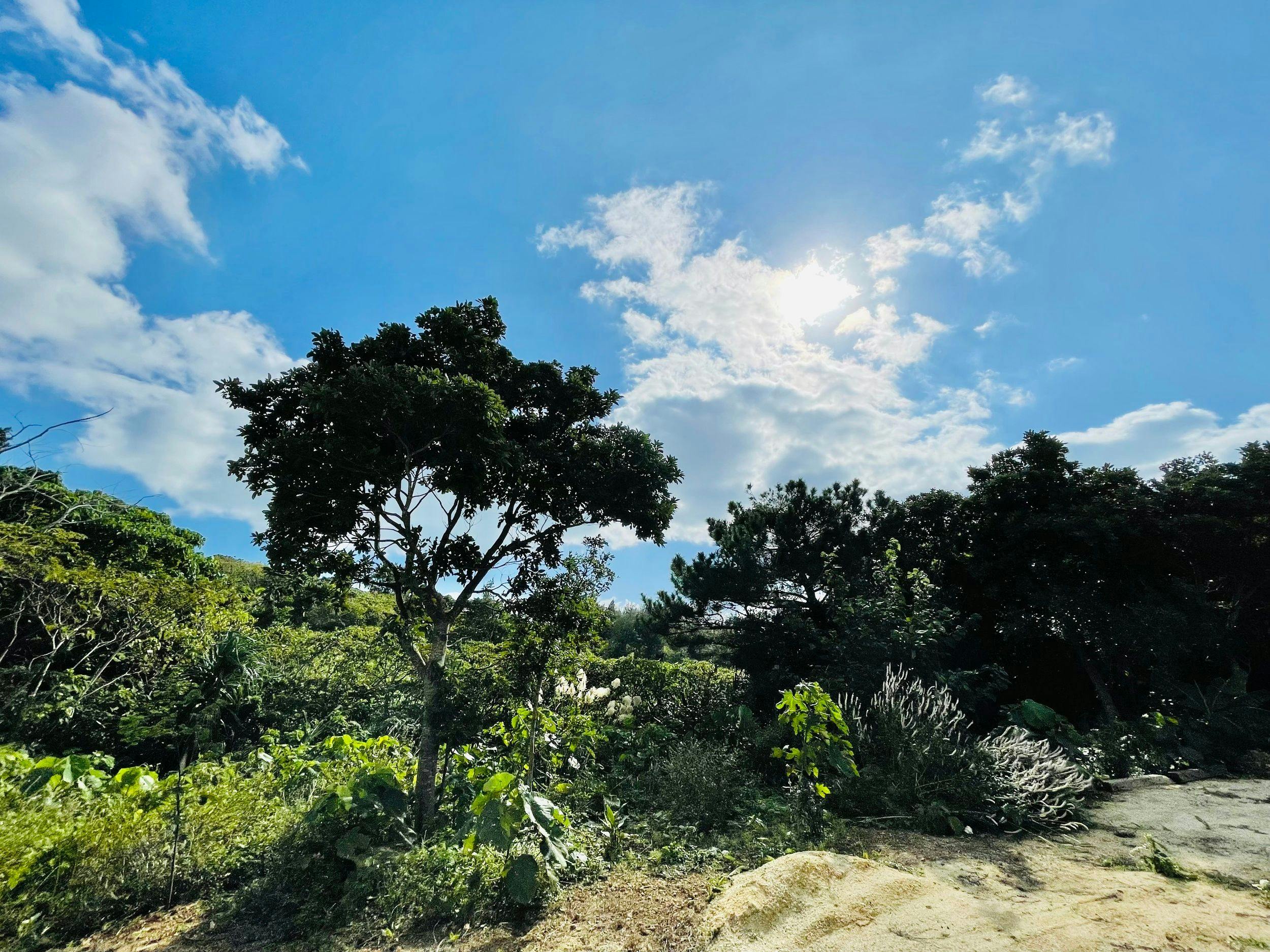 Ishigaki Villa FUSAKI HILL Sunset Pool Ocean View