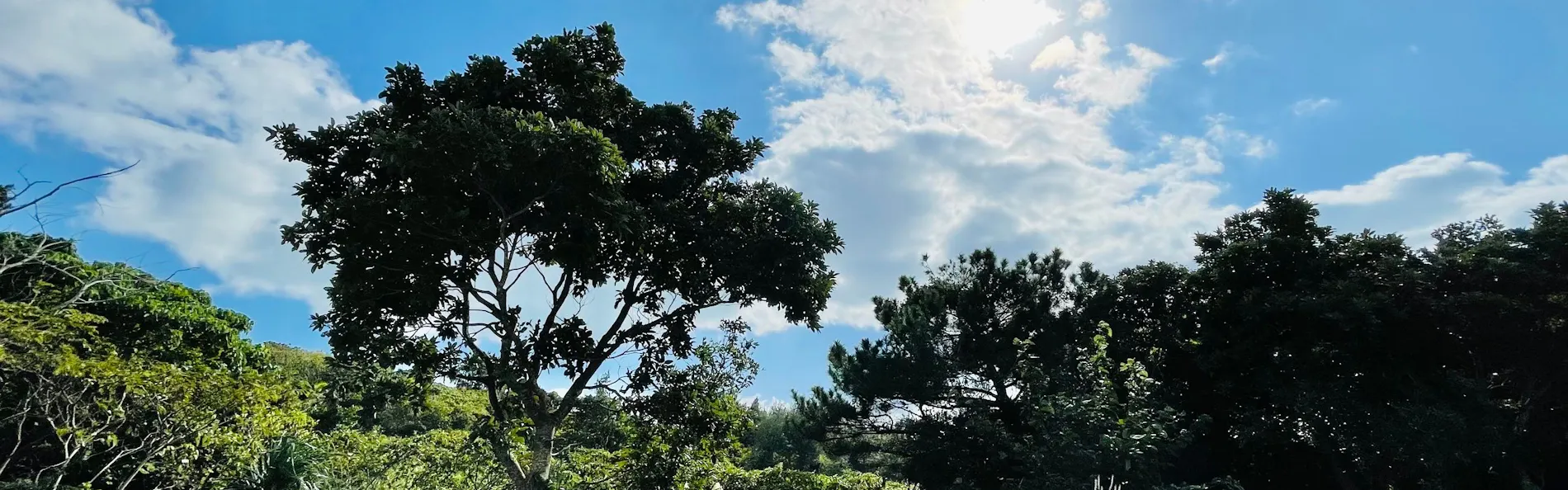 Ishigaki Villa FUSAKI HILL Sunset Pool Ocean View