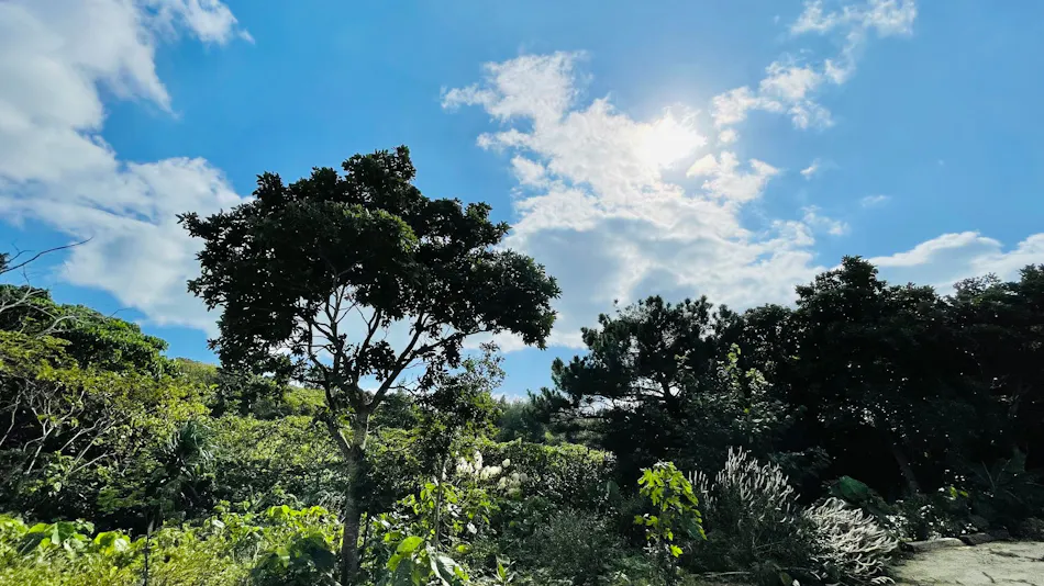 FUSAKI HILL ISHIGAKI